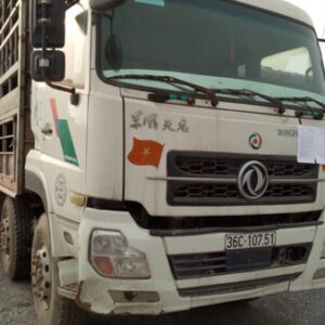 01 (một) xe ô tô tải có mui nhãn hiệu DONGFENG