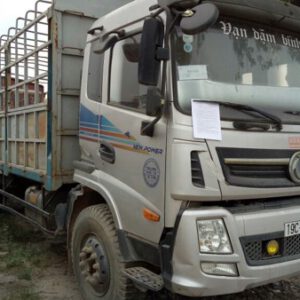 01 (một) xe ô tô tải có mui, màu bạc, nhãn hiệu TRƯỜNG GIANG