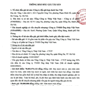01 lô gồm toàn bộ phần vốn góp của Tổng Công ty Thép Việt Nam – Công ty cổ phần tại Công ty TNHH Ống thép Việt Nam.