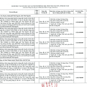19 Quyền sử dụng đất tại: phường Thụy Phương, quận Bắc Từ Liêm, thành phố Hà Nội; phường Túc Duyên, TP. Thái Nguyên, tỉnh Thái Nguyên; xã Đại Cương, huyện Kim Bảng và xã Liêm Thuận, huyện Thanh Liêm, tỉnh Hà Nam